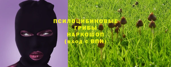 дурь Алексин