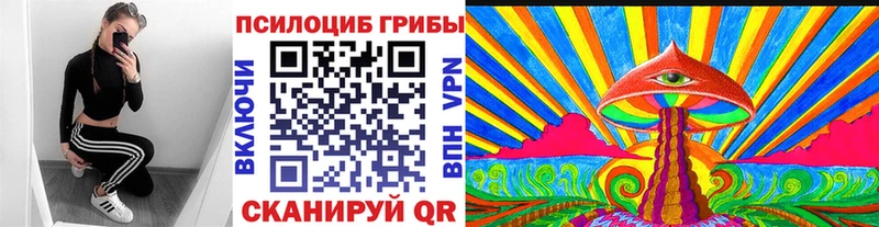 купить   Дюртюли  Псилоцибиновые грибы Cubensis 